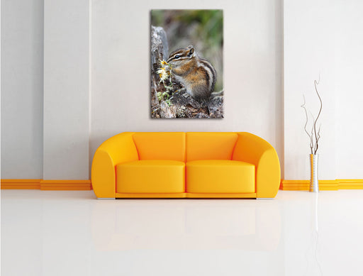 Streifenhörnchen beim Fressen Leinwandbild über Sofa