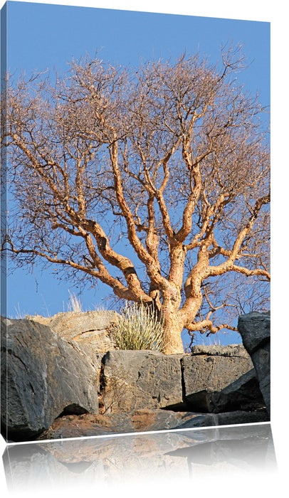Pixxprint einsamer Baum im Gebirge, Leinwandbild