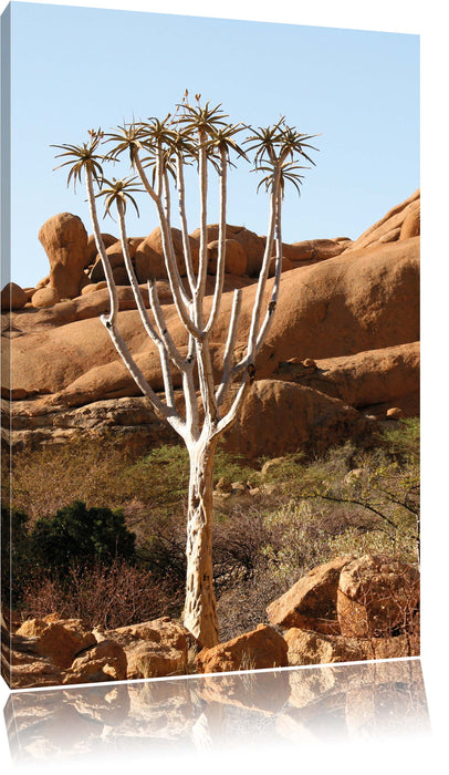 Pixxprint Baum im Steingebirge, Leinwandbild