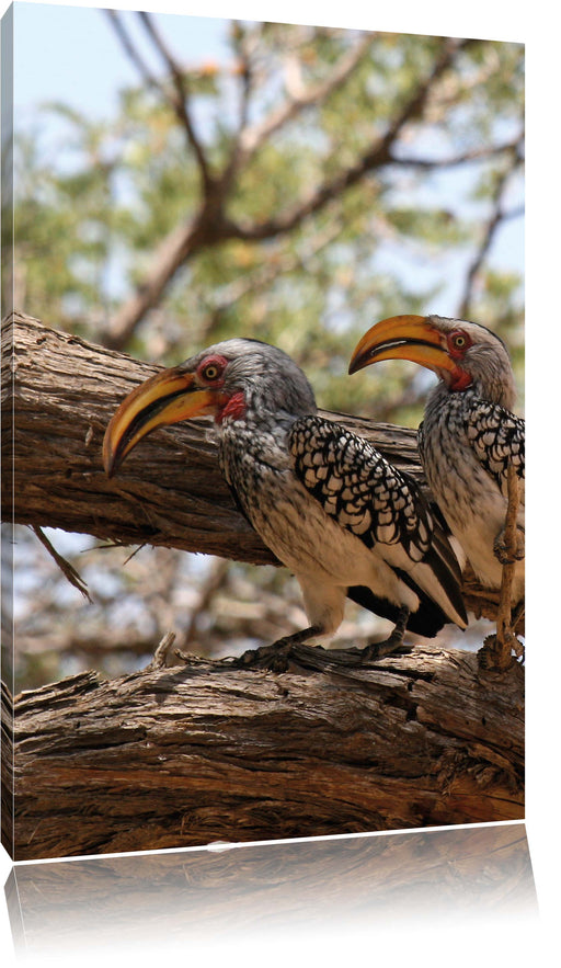 zwei exotische Vögel auf Baum Leinwandbild