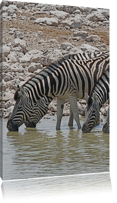 Pixxprint Zebraherde am Wasserloch, Leinwandbild