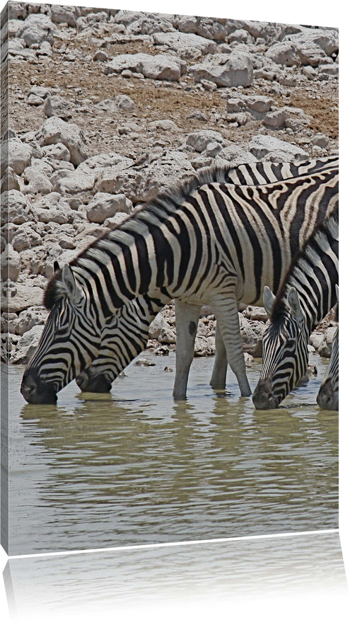 Zebraherde am Wasserloch Leinwandbild