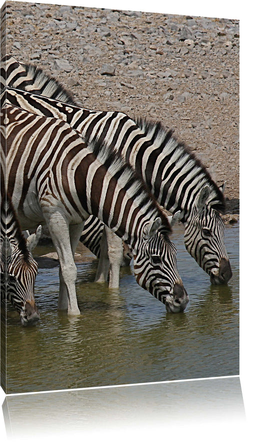 Zebraherde an einem Wasserloch Leinwandbild