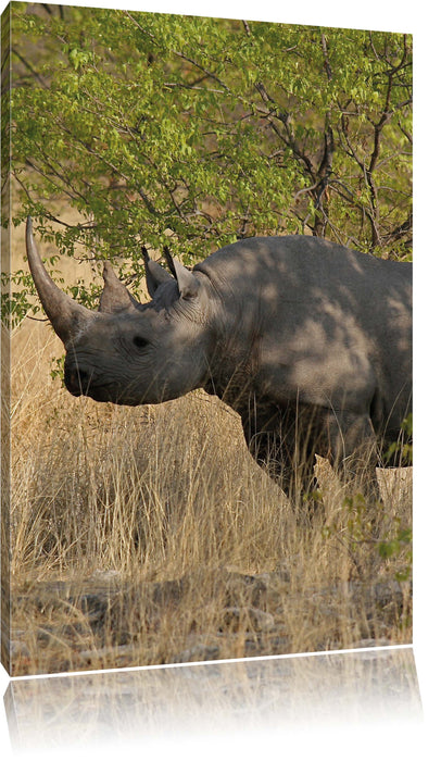 Pixxprint Nashorn in der Savanne, Leinwandbild