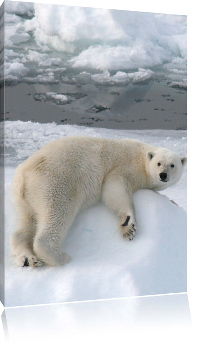 Pixxprint Eisbär auf Eisberg, Leinwandbild