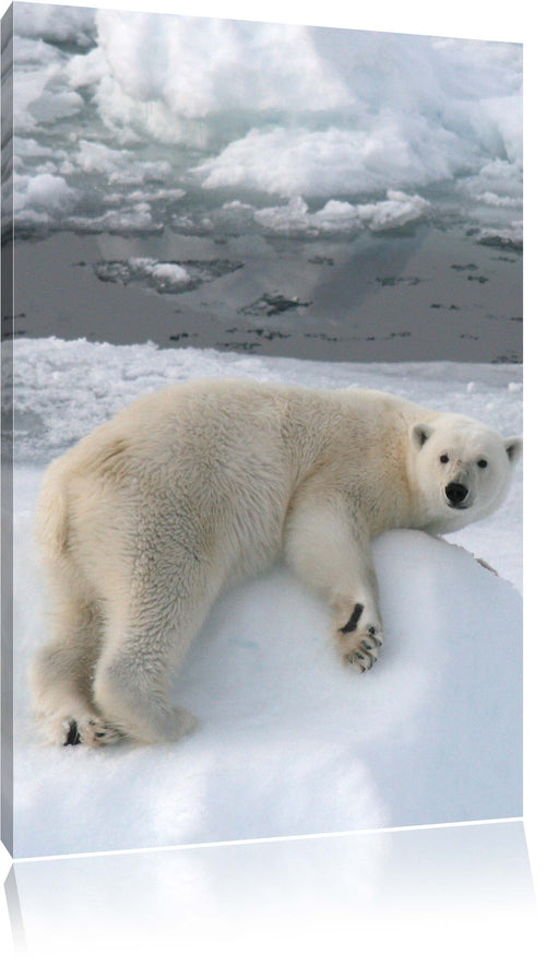 Eisbär auf Eisberg Leinwandbild