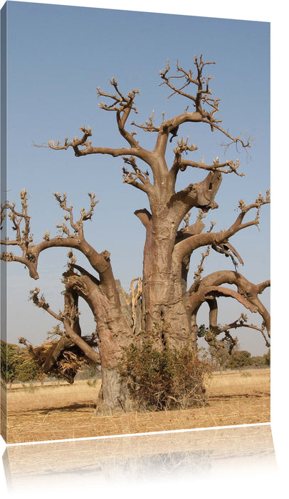 Pixxprint vertrockneter Baum in der Savanne, Leinwandbild