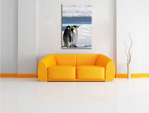 Kaiserpinguine Leinwandbild über Sofa