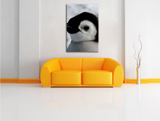 drei Kaiserpinguin-Küken Leinwandbild über Sofa