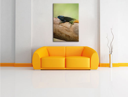 farbenfrohe Eidechse Leinwandbild über Sofa