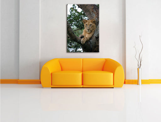 schöne Löwin auf Baum Leinwandbild über Sofa