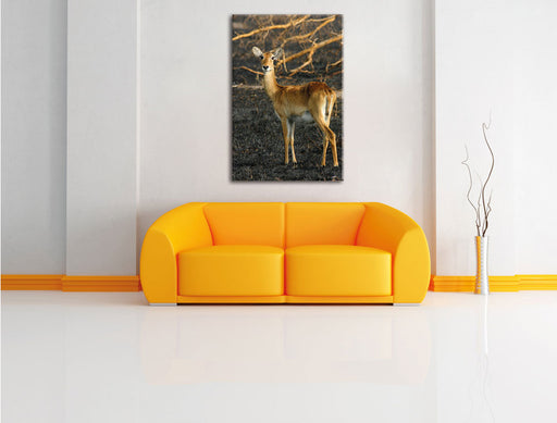 weibliche Gazelle mit Jungtier Leinwandbild über Sofa