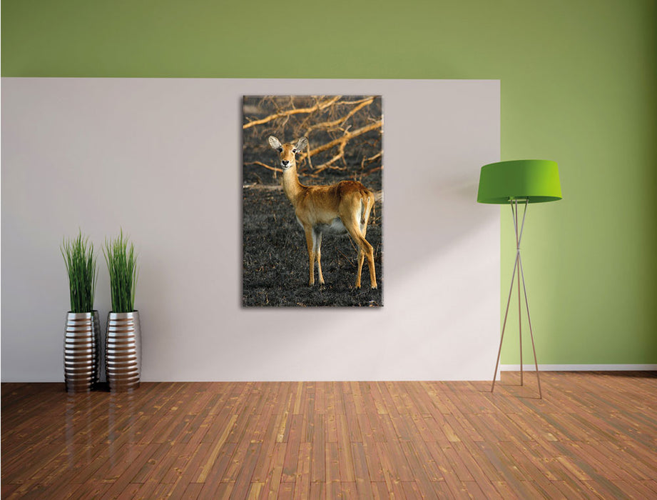 weibliche Gazelle mit Jungtier Leinwandbild im Flur