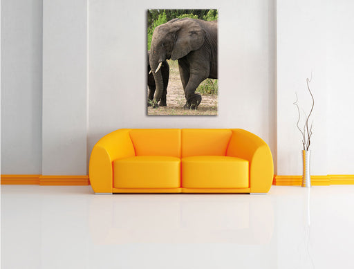 Elefantenkuh mit Jungtier Leinwandbild über Sofa