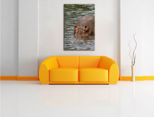 zwei Flusspferde im Wasser Leinwandbild über Sofa