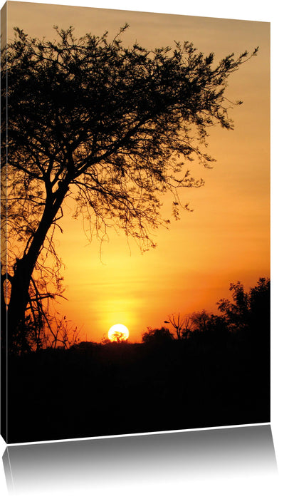 Pixxprint Dämmerung in Savanne, Leinwandbild