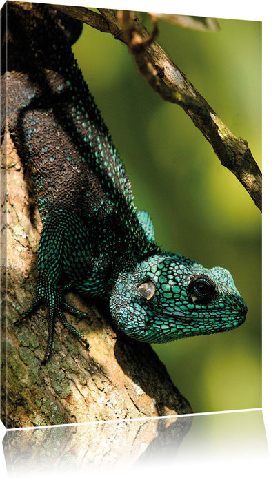 Pixxprint Agama auf Baum Ast, Leinwandbild