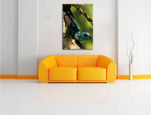 Agama auf Baum Ast Leinwandbild über Sofa