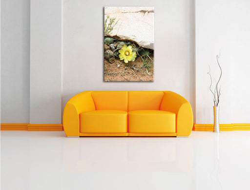 Kakteen mit gelber Blüte Leinwandbild über Sofa