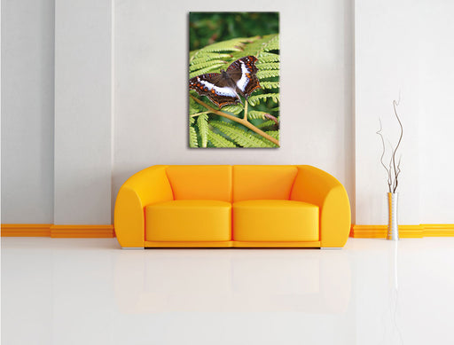 Schmetterling auf Farnblatt Leinwandbild über Sofa