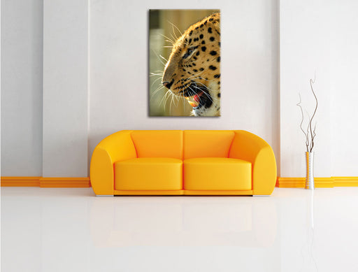 brüllender Leopard Leinwandbild über Sofa