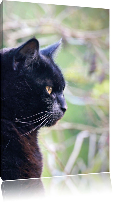 Pixxprint schwarze Katze, Leinwandbild