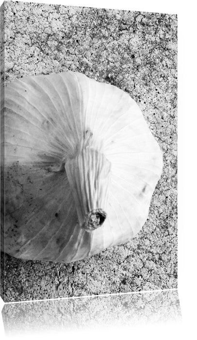 Pixxprint zwei Knoblauchknollen, Leinwandbild