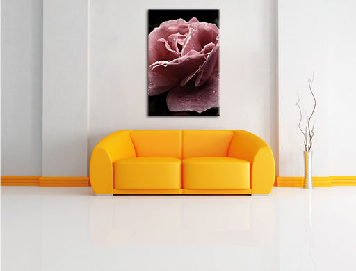 zarte rosafarbene Rosenblüte Leinwandbild über Sofa