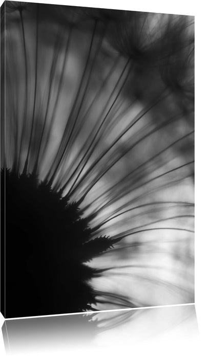 Pixxprint Pusteblume, Leinwandbild