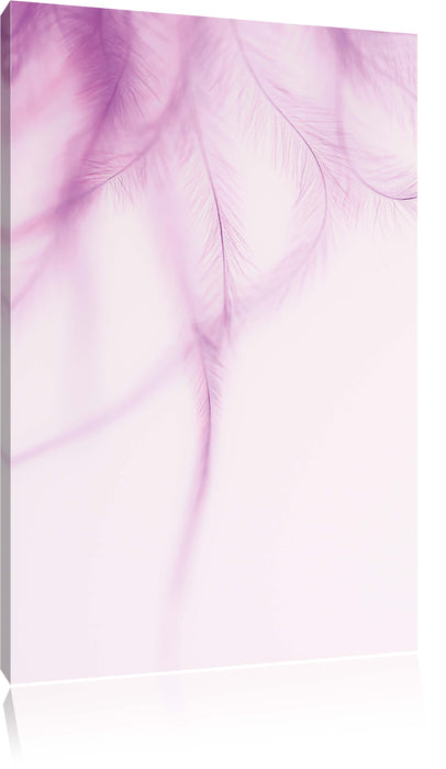 Pixxprint zarte pinke Federn, Leinwandbild