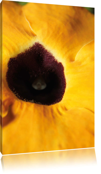 Pixxprint schöne Thunbergie Blüte, Leinwandbild