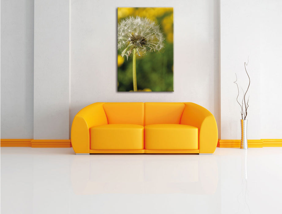 Pusteblume auf Wiese Leinwandbild über Sofa