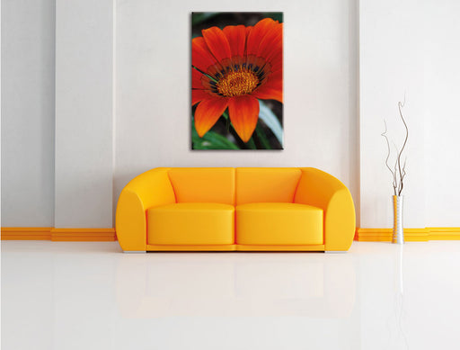 große orangefarbene Blüte Leinwandbild über Sofa