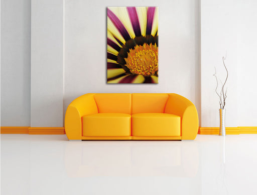gelb lila gestreifte Blüte Leinwandbild über Sofa