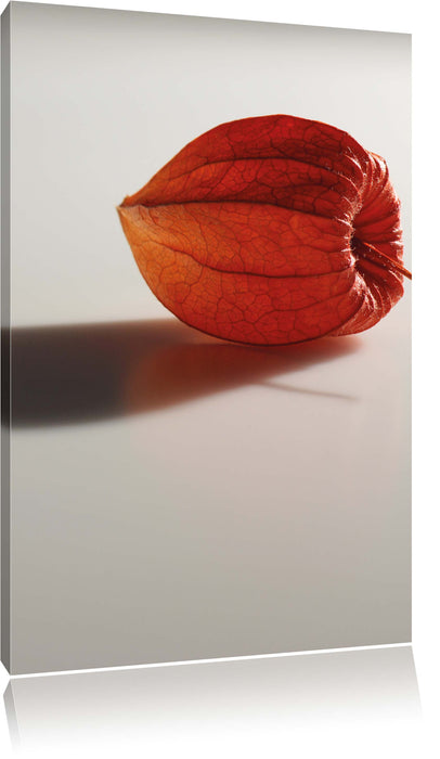 Pixxprint kleine Physalis, Leinwandbild