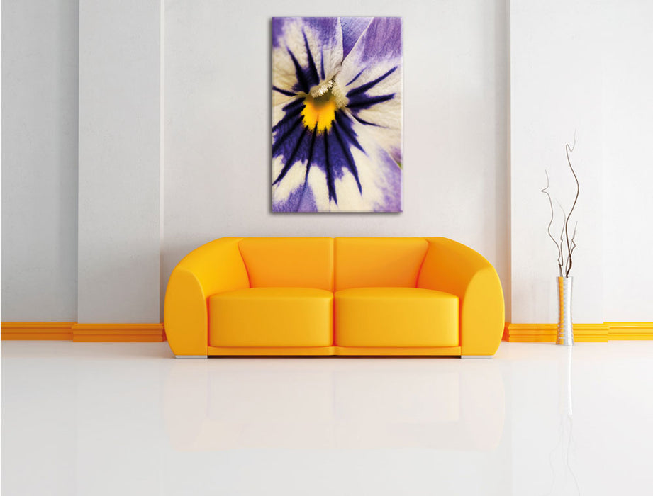 farbenfrohes Stiefmütterchen Leinwandbild über Sofa