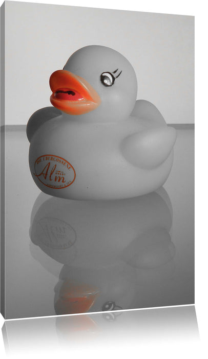 Pixxprint graues Quietsche Entchen, Leinwandbild