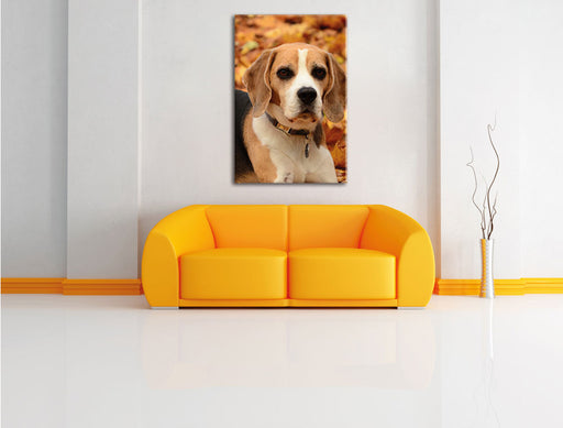 kleiner Beagle im Laub Leinwandbild über Sofa