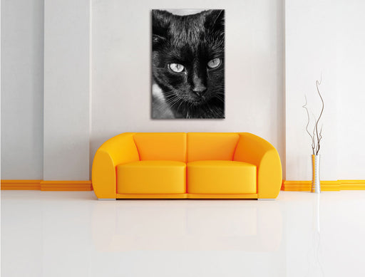 schwarze Katze Leinwandbild über Sofa