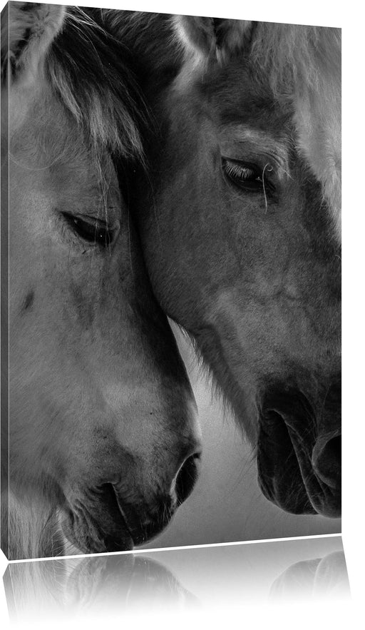 zwei liebevolle Pferde Leinwandbild