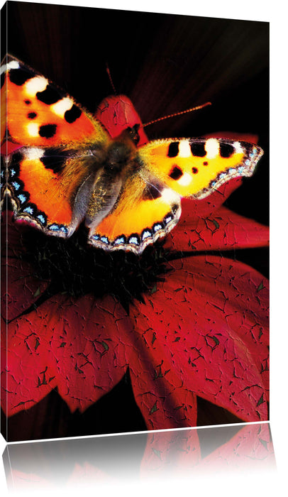 Pixxprint Schmetterling auf roter Blüte, Leinwandbild