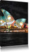 Sydney Opera House Pfauenaugen Leinwandbild