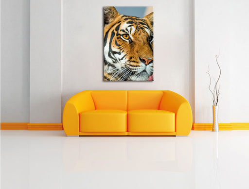 schöner Tiger Leinwandbild über Sofa