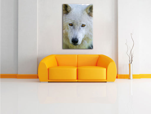 wunderschöner Polarwolf Leinwandbild über Sofa