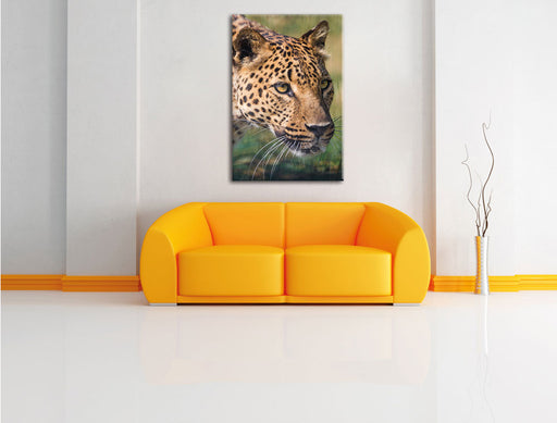 schleichender Leopard Leinwandbild über Sofa