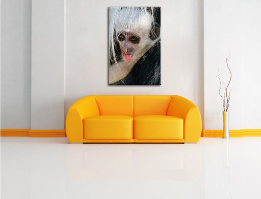 kleines Colobus-Äffchen Leinwandbild über Sofa