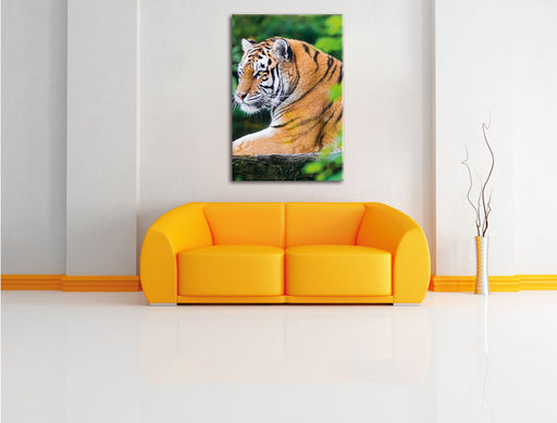 anmutiger Tiger auf Baumstamm Leinwandbild über Sofa