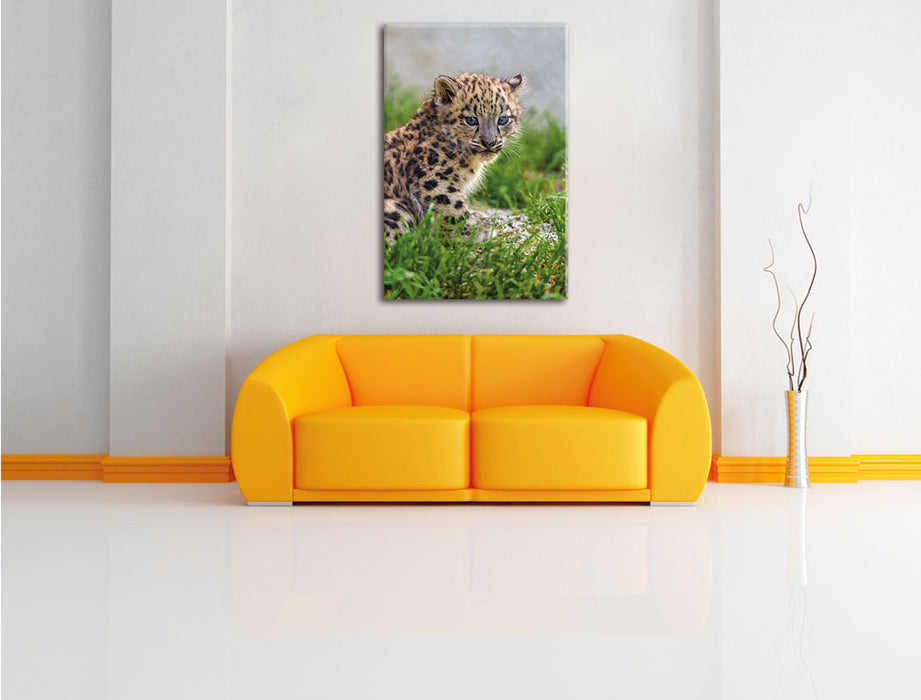 junger Leopard im Gras Leinwandbild über Sofa