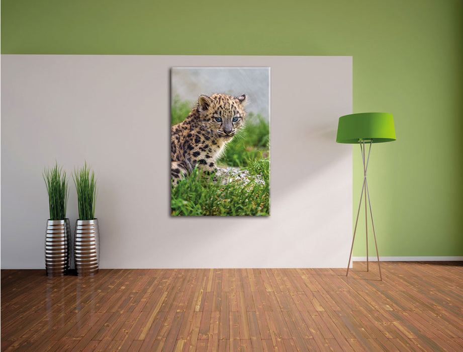 junger Leopard im Gras Leinwandbild im Flur