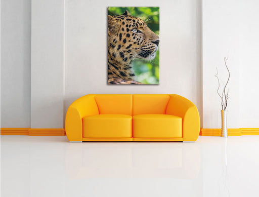 prächtiger Leopard im Schatten Leinwandbild über Sofa